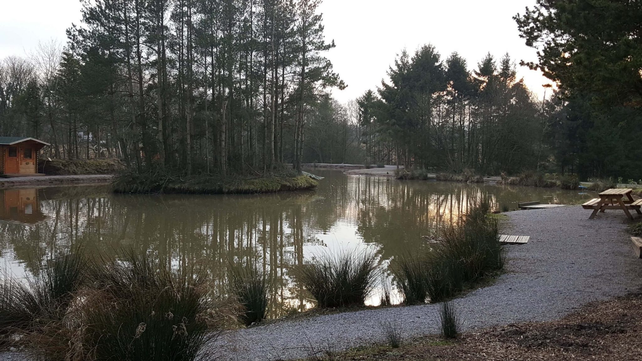 Fir Tree Fishing Area Fish